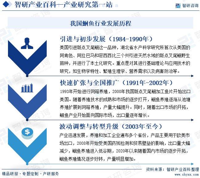 礼品盒批发市场，全国店铺概览与趋势分析