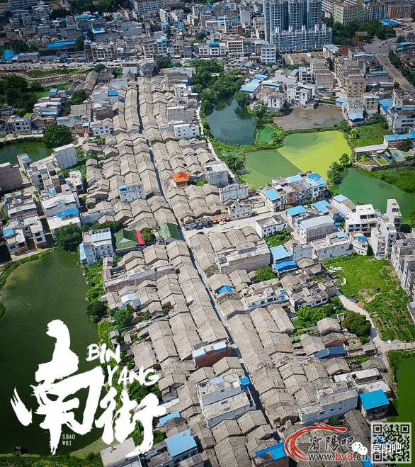 探索双色球历史开奖的奥秘，从初生到辉煌的旅程