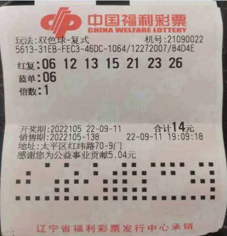 探索幸运之门，双色球开奖号码查询的奥秘与乐趣