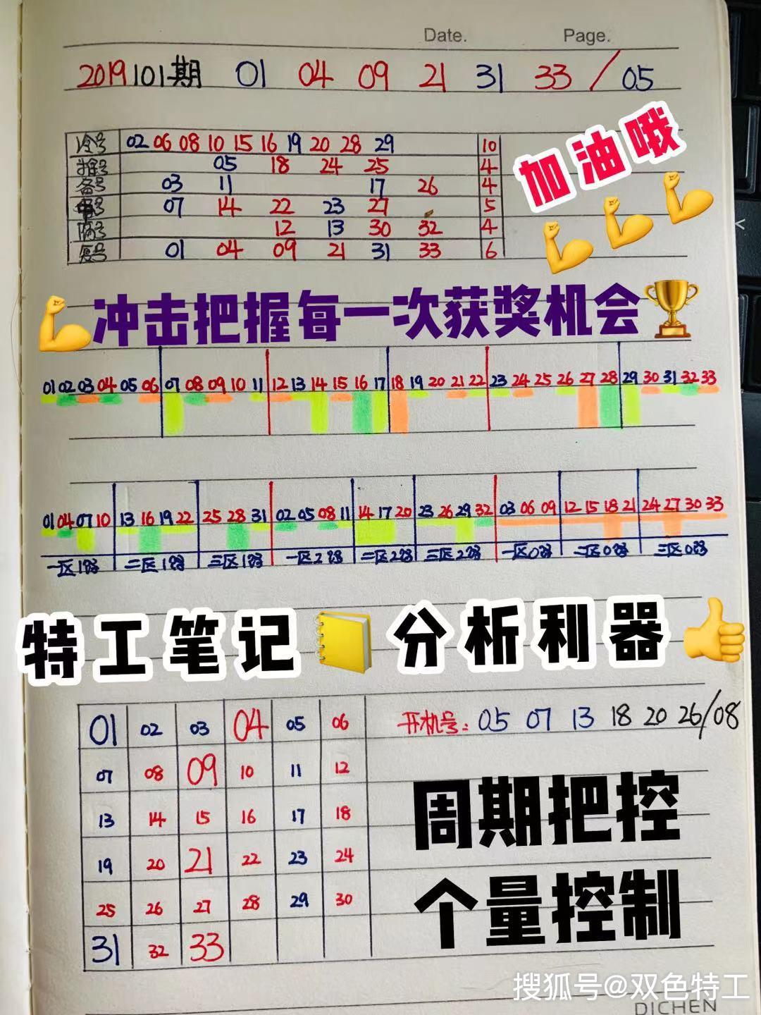 探索双色球近100期走势图，揭秘数字背后的秘密