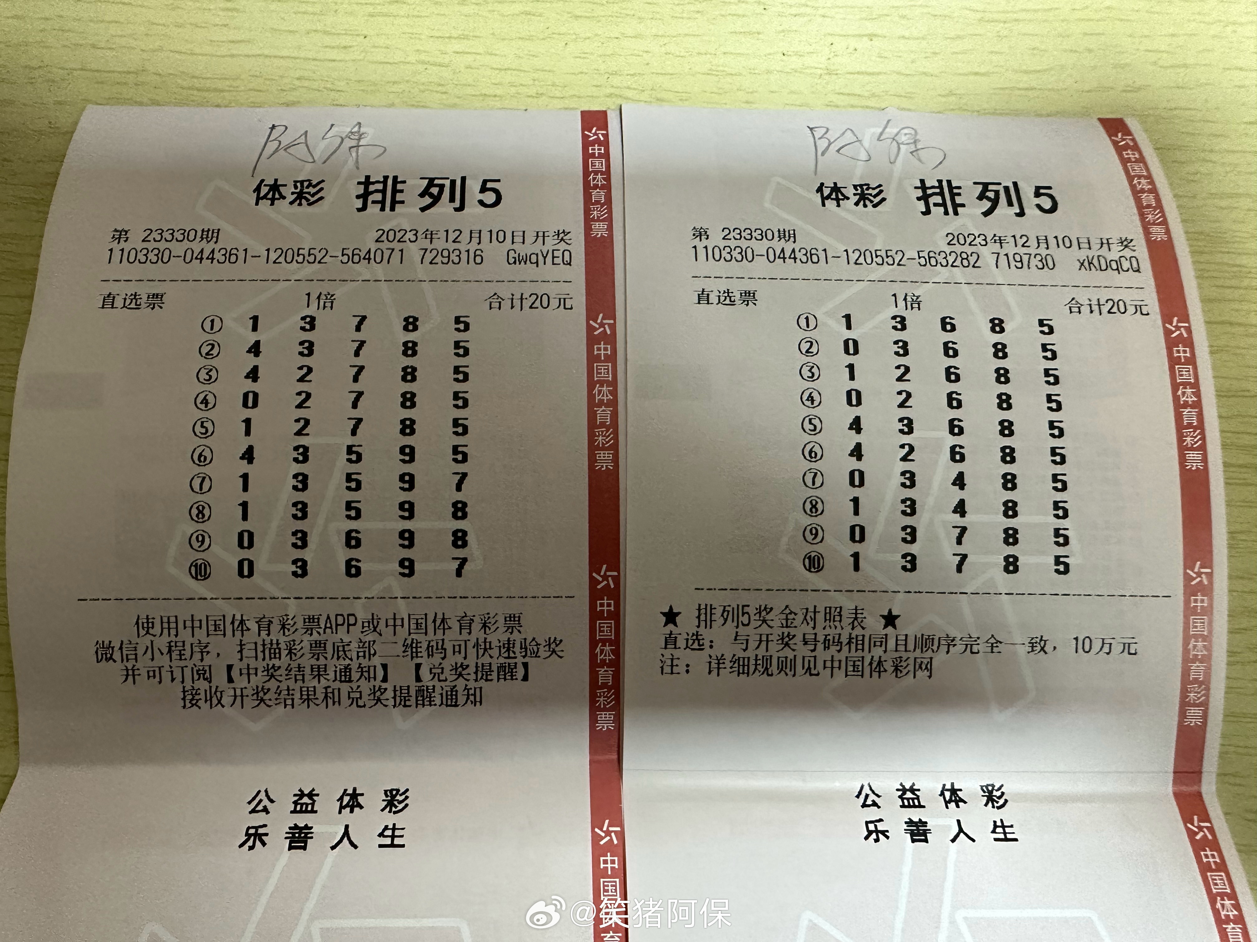 探索数字的奥秘，揭秘体彩排列五开奖号