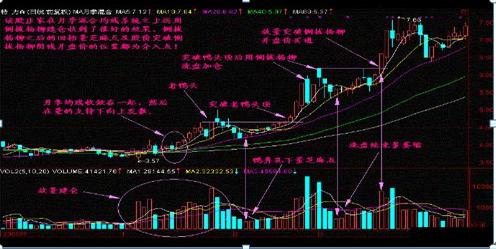 探索双色球1000期走势图，数字背后的奥秘与趋势分析