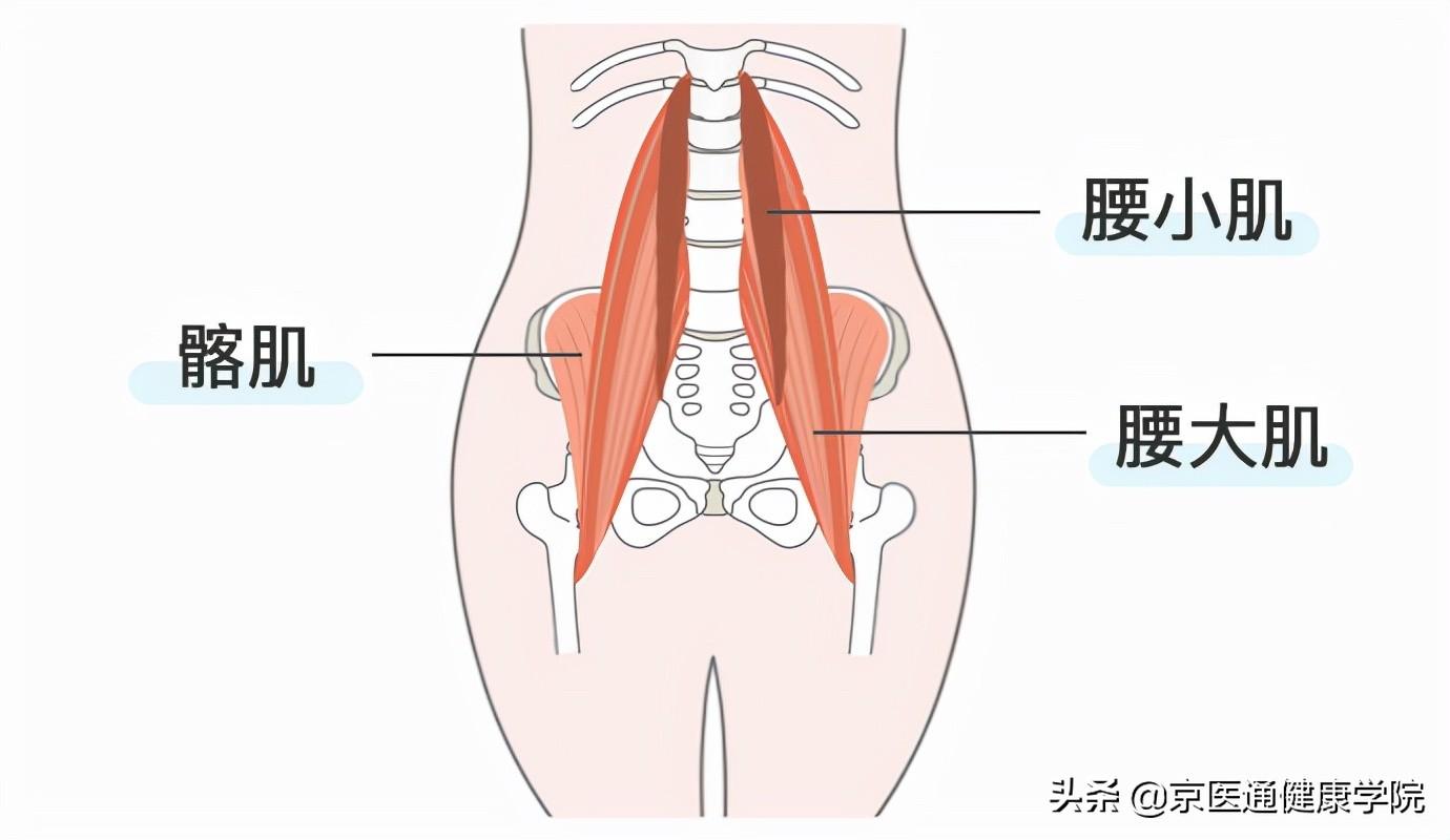 腰肌劳损的自我治疗与恢复方法，科学指南