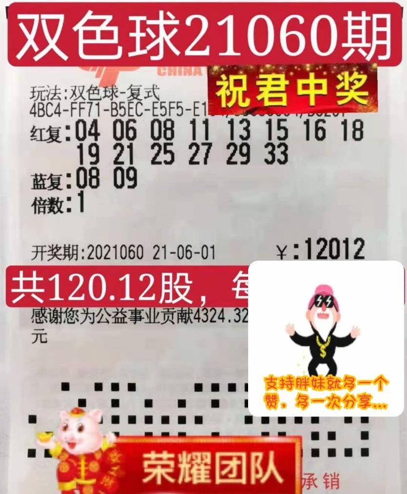 探索双色球2024119期的奇妙之旅，数字背后的幸运与智慧