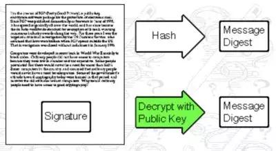 密码学在双色球中的神秘面纱，解码数字背后的科学