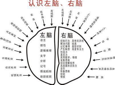 排列五预测，科学方法与理性分析的最新趋势