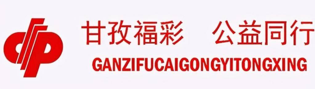 08858中国福利彩票官网，公益与梦想的交汇点