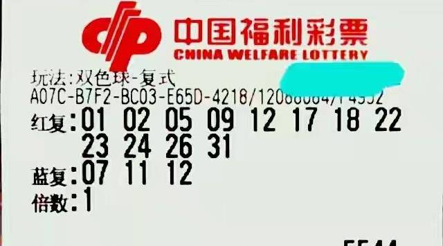 今日上海天天彩选四开奖揭晓，幸运数字背后的期待与惊喜