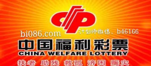 探索中国福利彩票2023110期的幸运之旅
