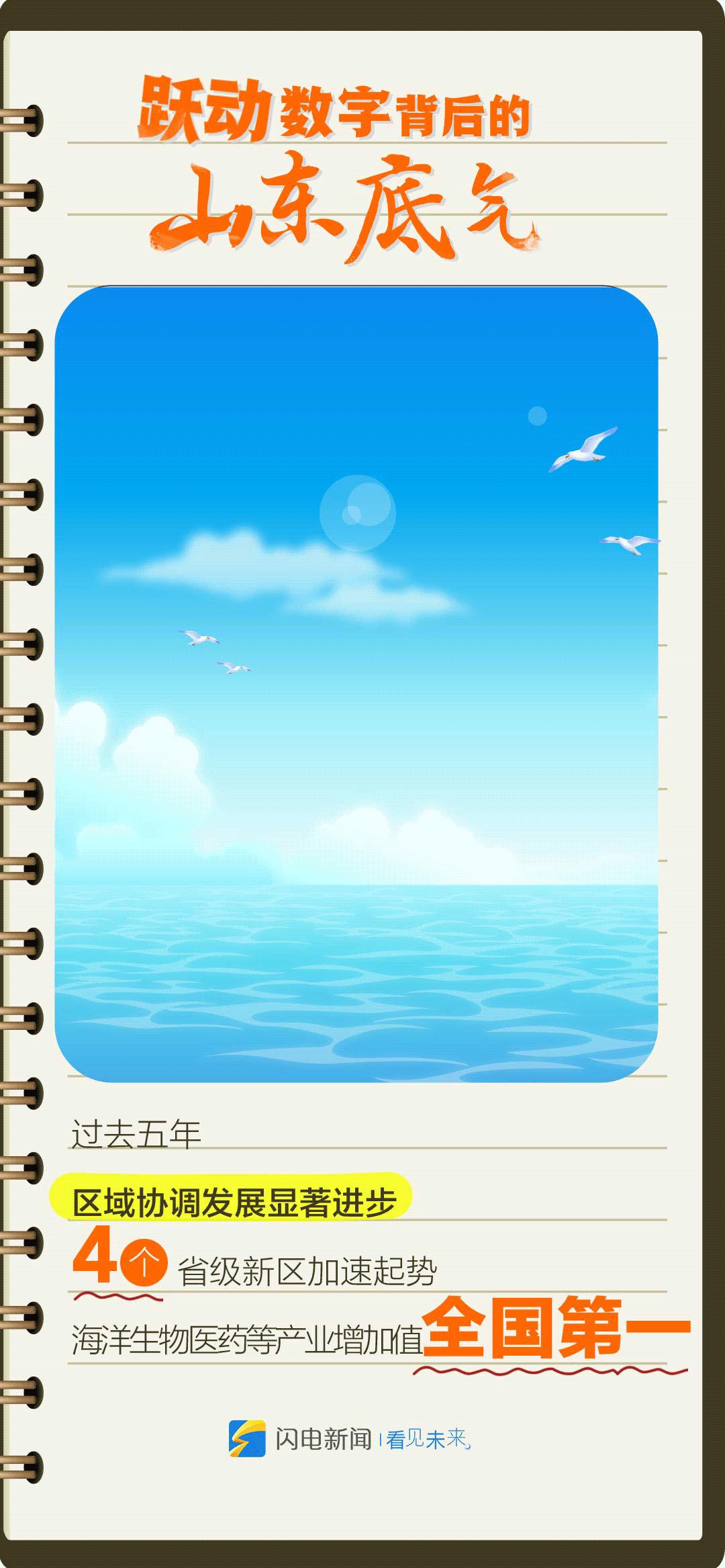今日3D专家预测号码，揭秘数字背后的奥秘