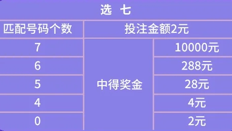 61中奖规则与奖金分配的深度解析