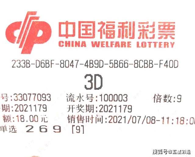 福利彩票，梦想与现实的交汇——解析福利彩票开奖结果查询的重要性