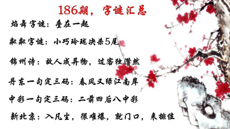 牛彩网字谜总汇九一，智慧与趣味的奇妙碰撞