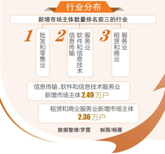 探索海口七星彩投资网，数字背后的财富与机遇
