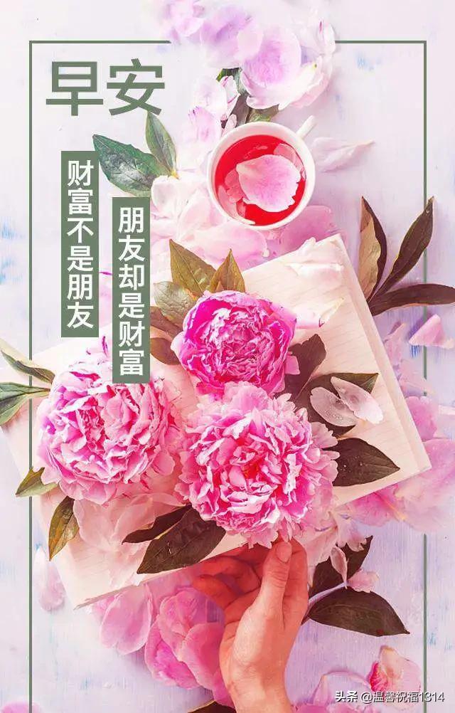 11月7日新闻，全球视野下的新动向与深度解析