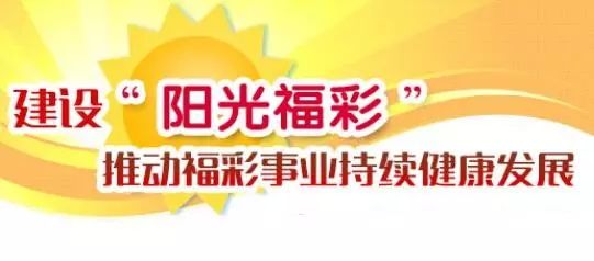 中福彩中心主任安宁，从阳光到暗影的蜕变