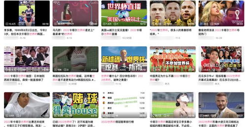 篮彩直播，实时观赛，激情无限