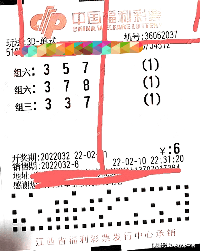 排列三试机号、金码与关注数，揭秘彩票背后的数字游戏