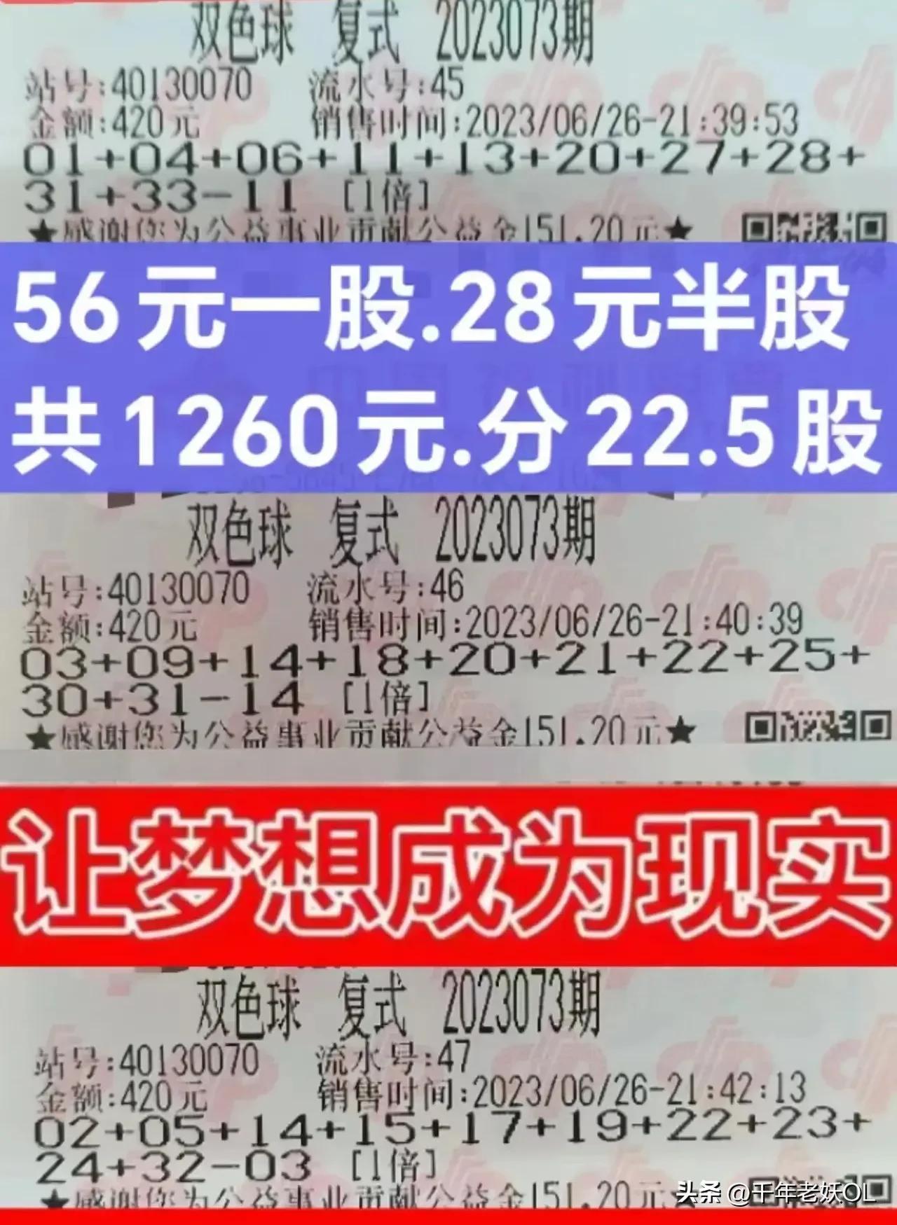 探索2023073期双色球，数字背后的奥秘与梦想之旅