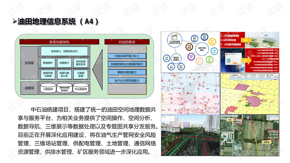 探索大乐透13079的奇妙世界，数字背后的幸运与智慧