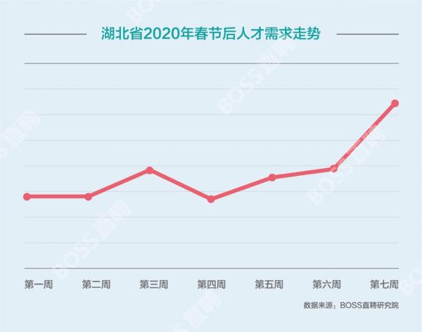 双色球41期历史同期开奖结果深度回顾与数据分析