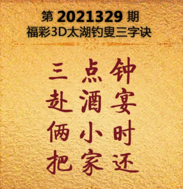 揭秘3D字谜，太湖钓叟320期的智慧之旅