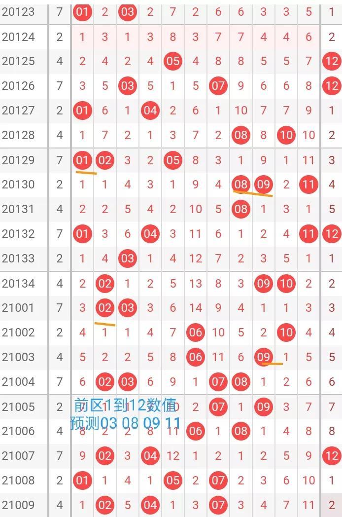 2021010期双色球开奖结果揭晓，幸运的数字与梦想的碰撞