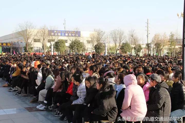 3D家彩网开机号码今日查询结果，揭秘幸运数字的奥秘