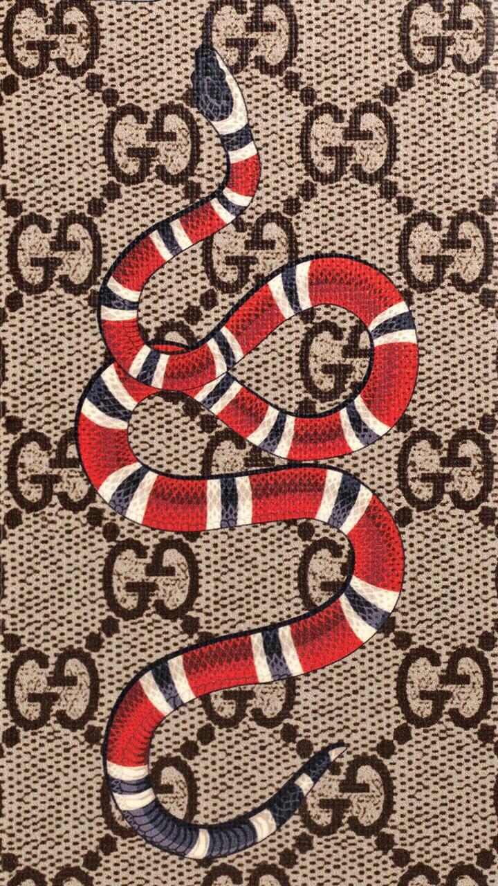 古琦Gucci官网，时尚与品质的完美融合