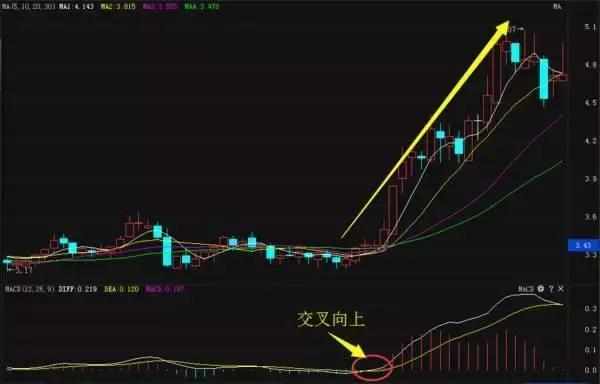 3的走势图，揭秘牛彩网中的数字奥秘