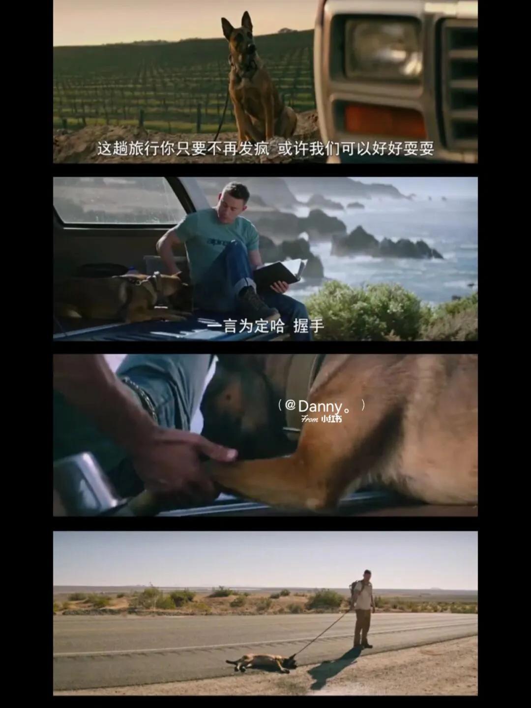 山东包装 第136页