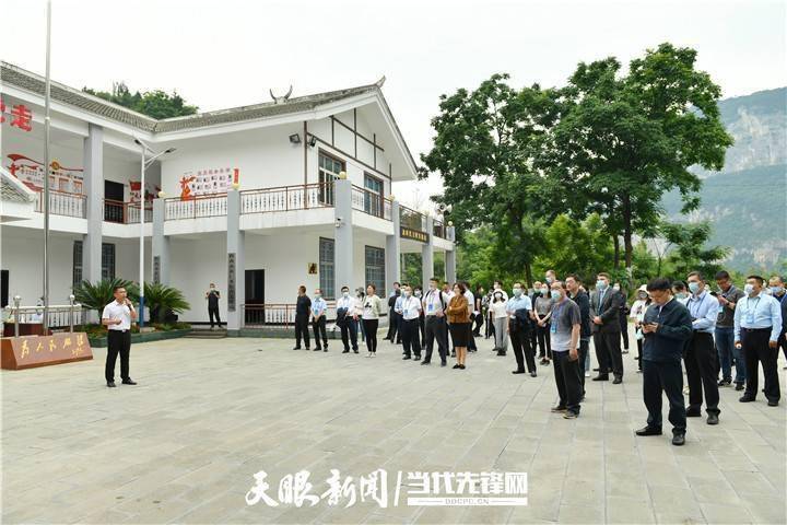 七星彩22052，数字背后的幸运与智慧