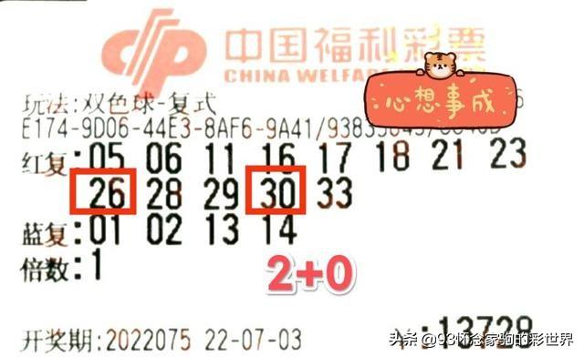 揭秘双色球22075期开奖，幸运数字背后的故事与彩民心声