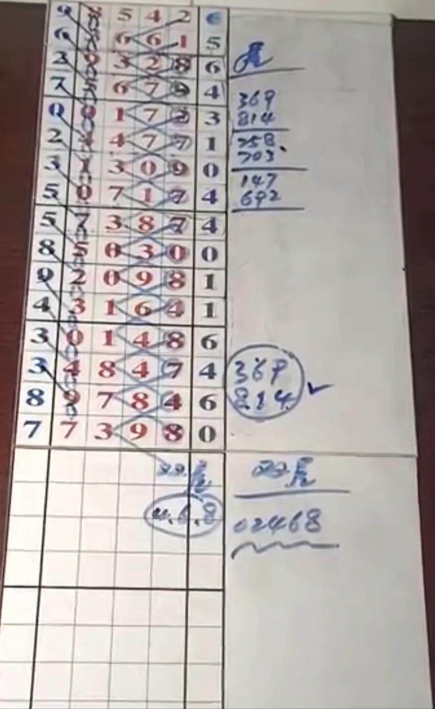 走势图解析，排列5走势的深度剖析
