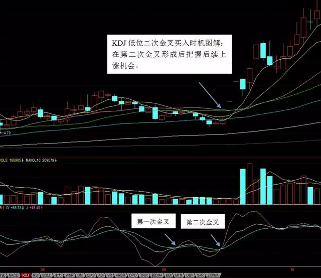 3D走势图，专业版带连线的深度解析与应用