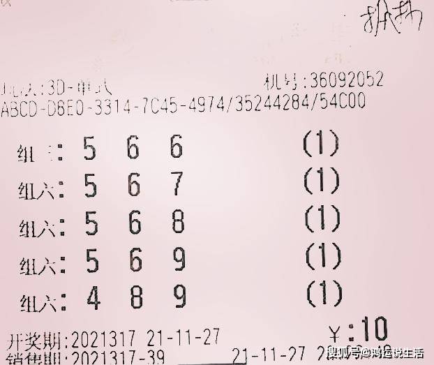 探索三D彩票的奥秘，揭秘三D杀号定胆码的技巧与误区