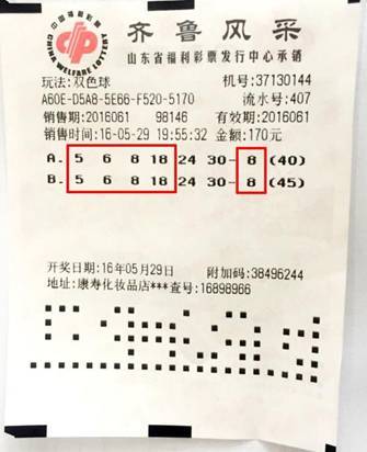 双色球中奖彩票号码回看查询，揭秘中奖背后的数字奥秘