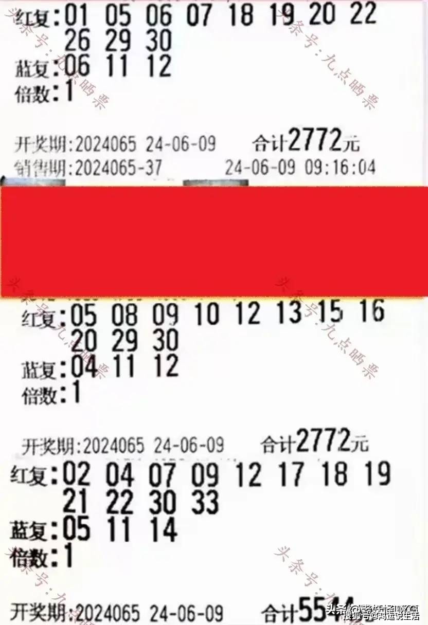2023004期双色球，幸运之光的闪耀时刻