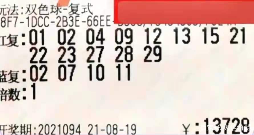2022066，双色球下的奇迹与梦想成真