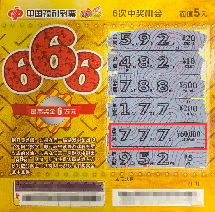 今日聚焦，体育彩票双色球开奖号揭秘与理性购彩指南