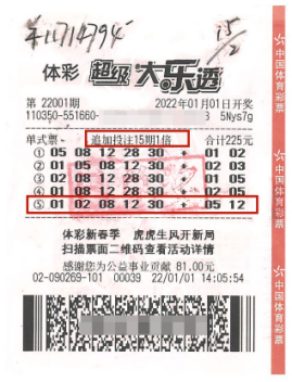 体育彩票大乐透中奖查询22003，揭秘中奖秘籍与理性购彩心态