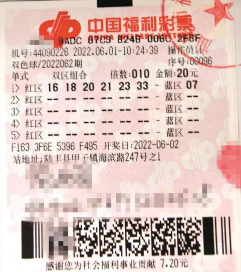 体育彩票开奖查询，1月31日的惊喜与期待