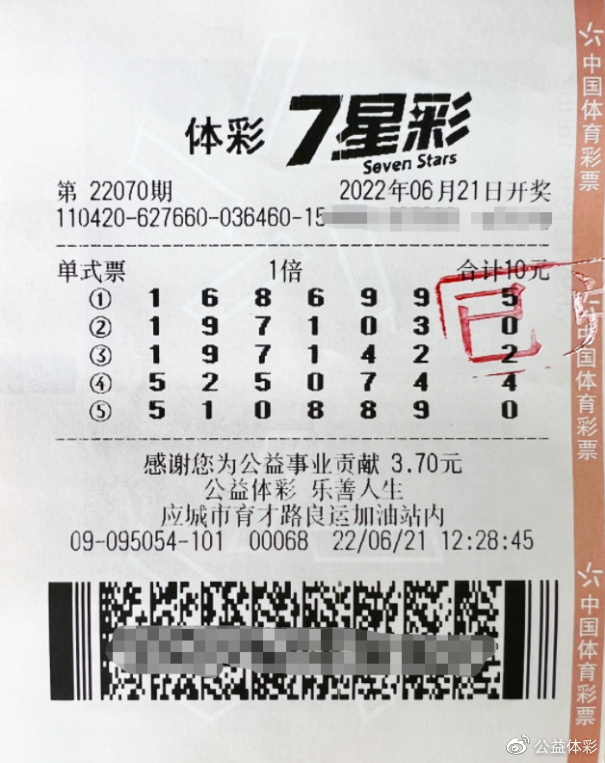 澳门六号码头今日彩市揭秘，探寻幸运的瞬间与惊喜的降临
