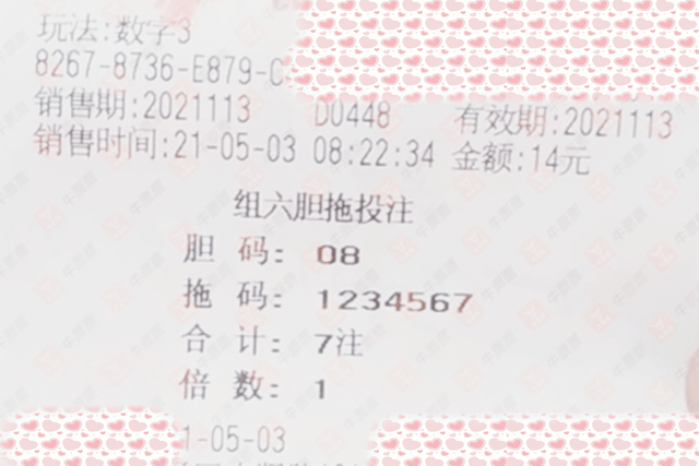 澳门六玄网坛141期开奖结果查询，揭秘澳门彩票的魅力与风险