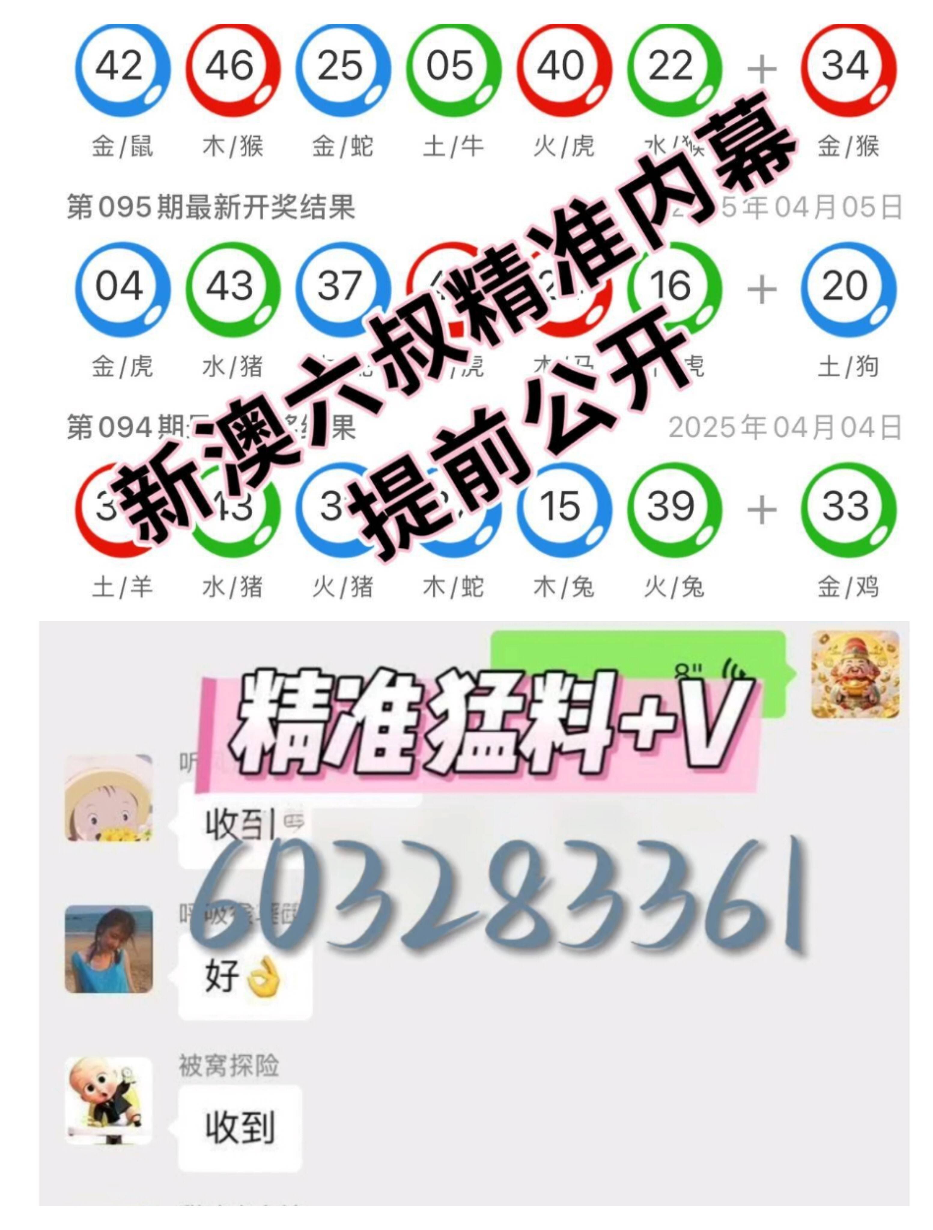 澳门六玄网坛新动向，最新消息与深度分析