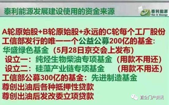 澳门六玄网坛绿码图最新版官方，数字时代的绿色通行证