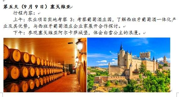 澳门六大博企2024年第一季度，挑战与机遇并存的新篇章
