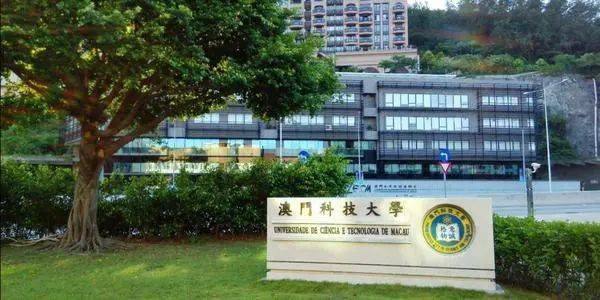 澳门六资料大全正版资料查询，2024年免费最新版全攻略