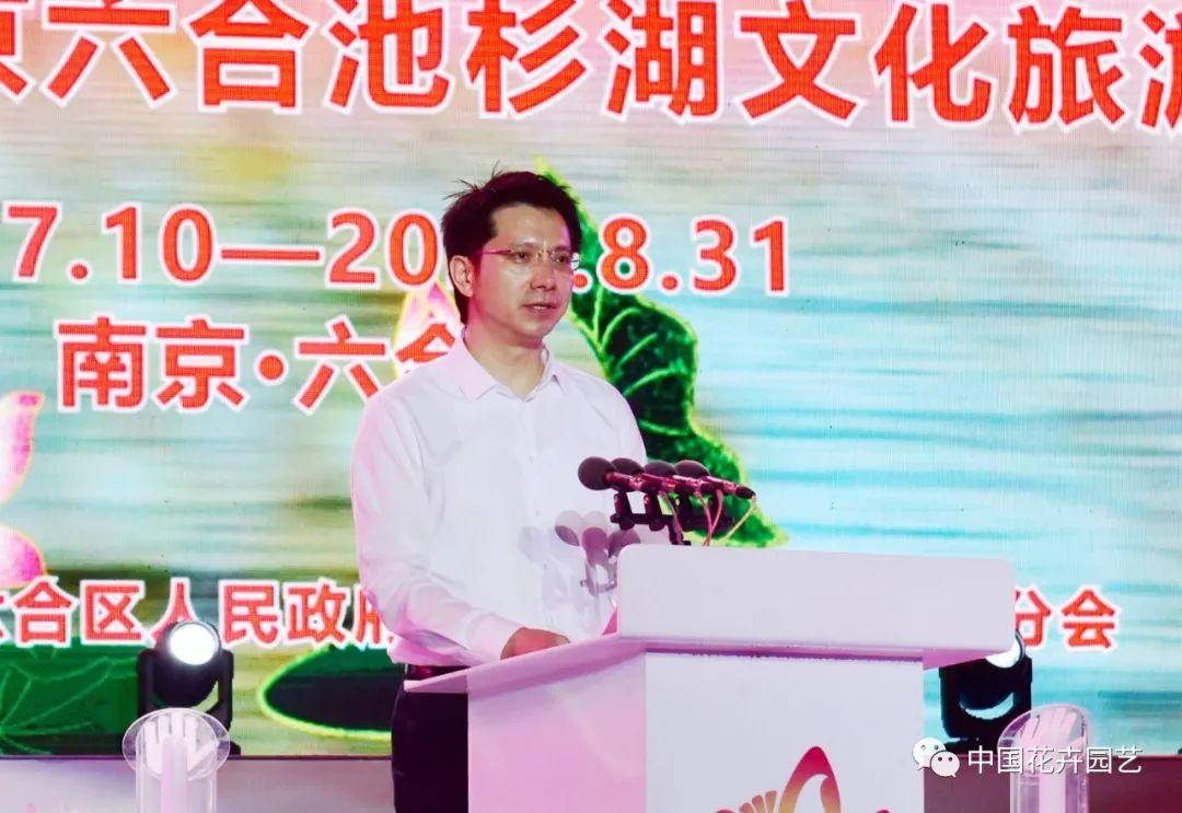 澳门六宝合典大全最新一期中文版，揭秘澳门文化与娱乐的独特魅力