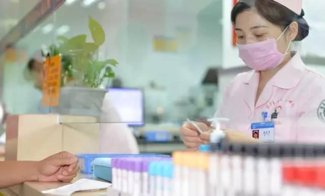 澳门六宝合典，探索澳门娱乐新风尚的免费下载之旅
